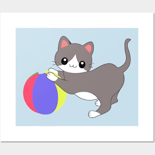 Cat and Ball Posters and Art